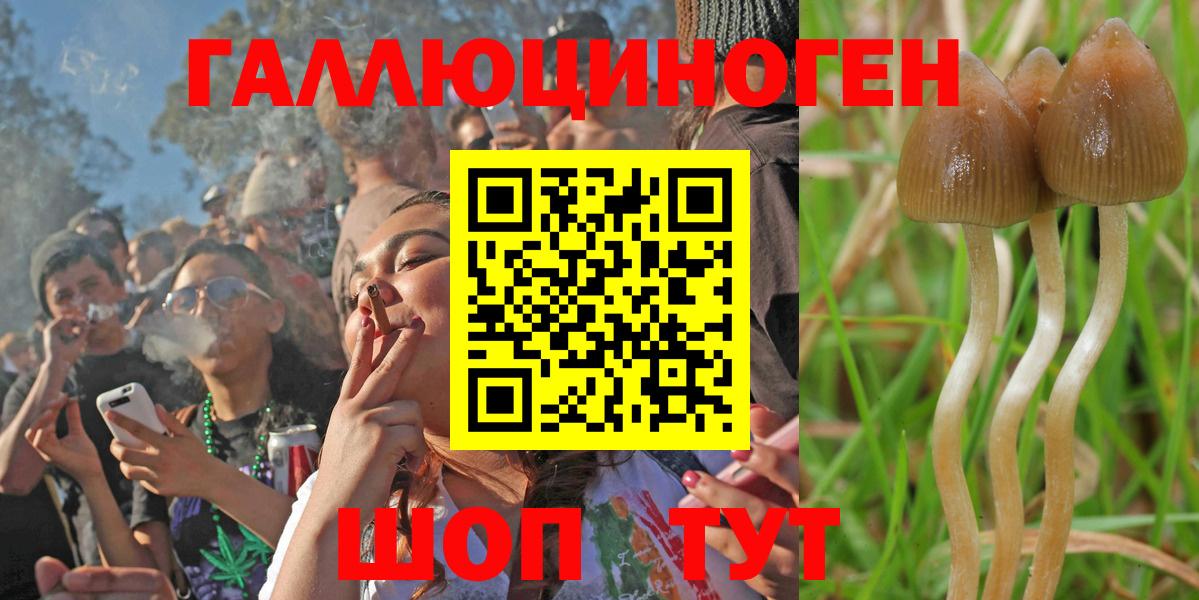 Галлюциногенные грибы ЛСД  Вход с VPN  Ижевск  Псилоцибиновые грибы GOLDEN TEACHER 